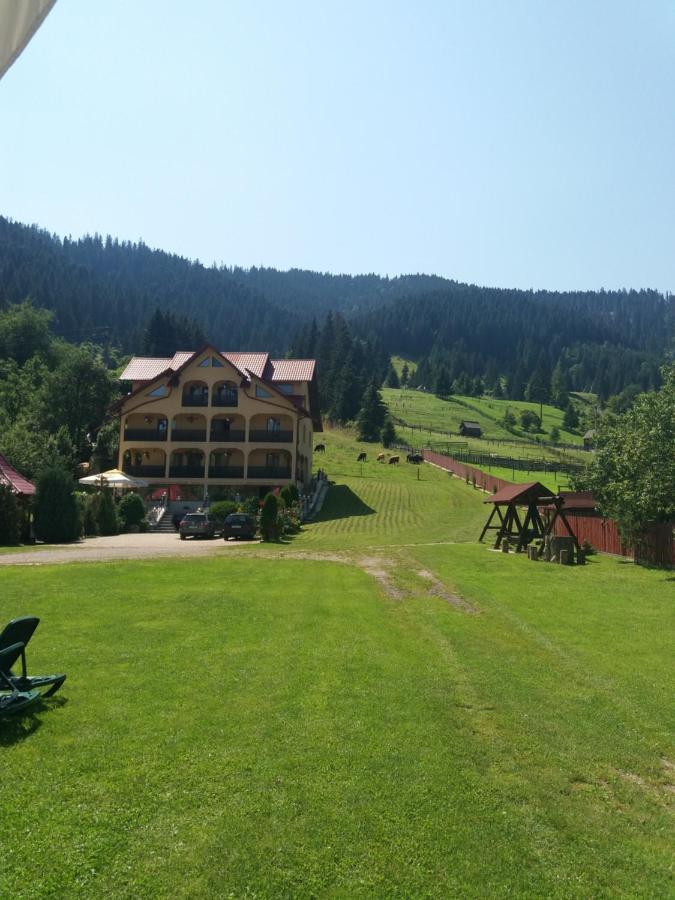Pensiunea Alunis Sadova (Suceava) Exterior foto