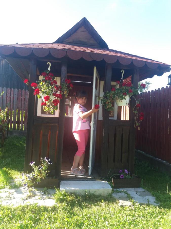 Pensiunea Alunis Sadova (Suceava) Exterior foto