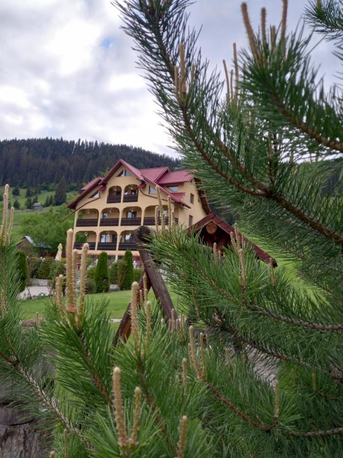 Pensiunea Alunis Sadova (Suceava) Exterior foto