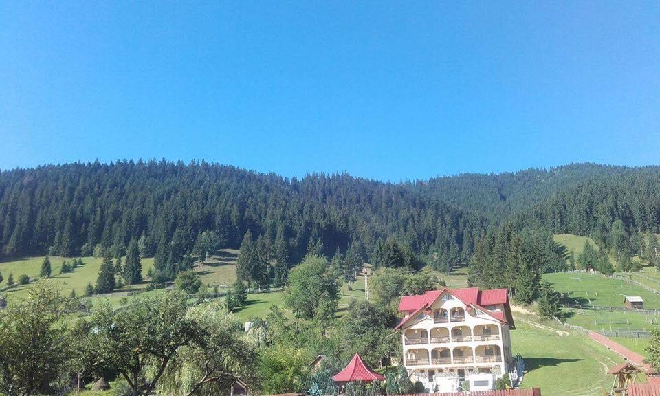 Pensiunea Alunis Sadova (Suceava) Exterior foto