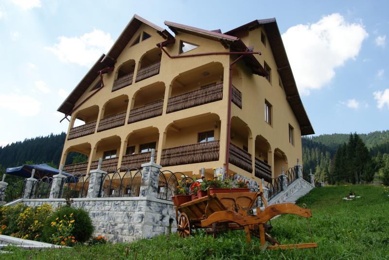 Pensiunea Alunis Sadova (Suceava) Exterior foto