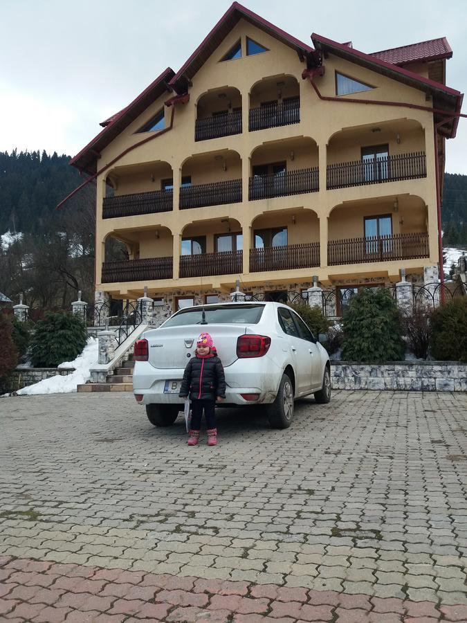 Pensiunea Alunis Sadova (Suceava) Exterior foto
