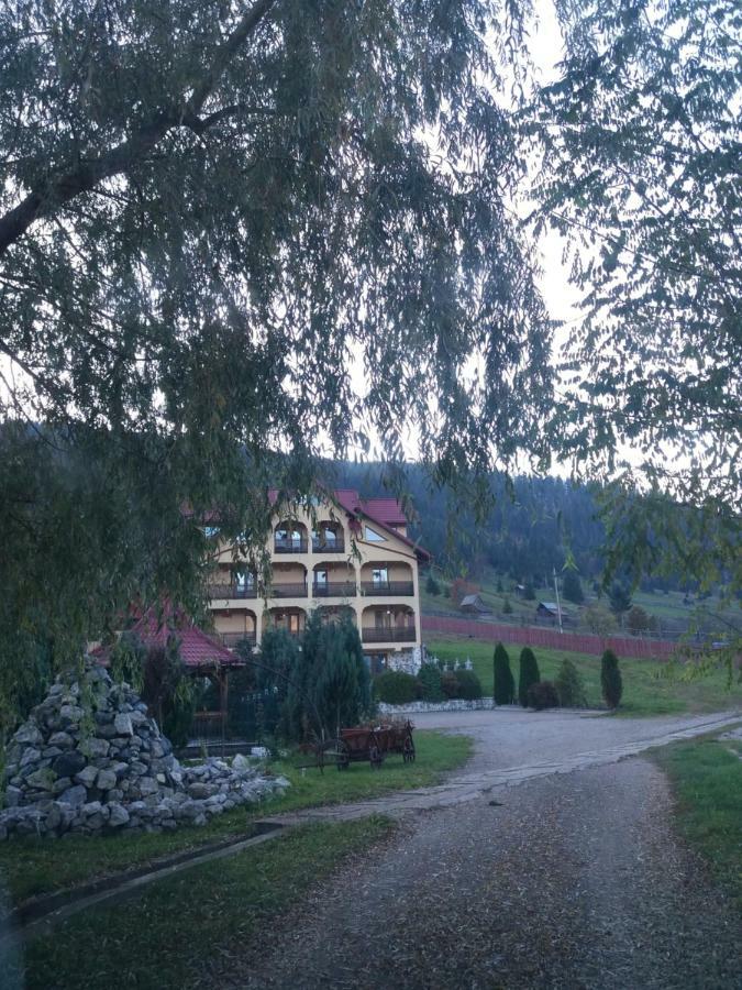 Pensiunea Alunis Sadova (Suceava) Exterior foto